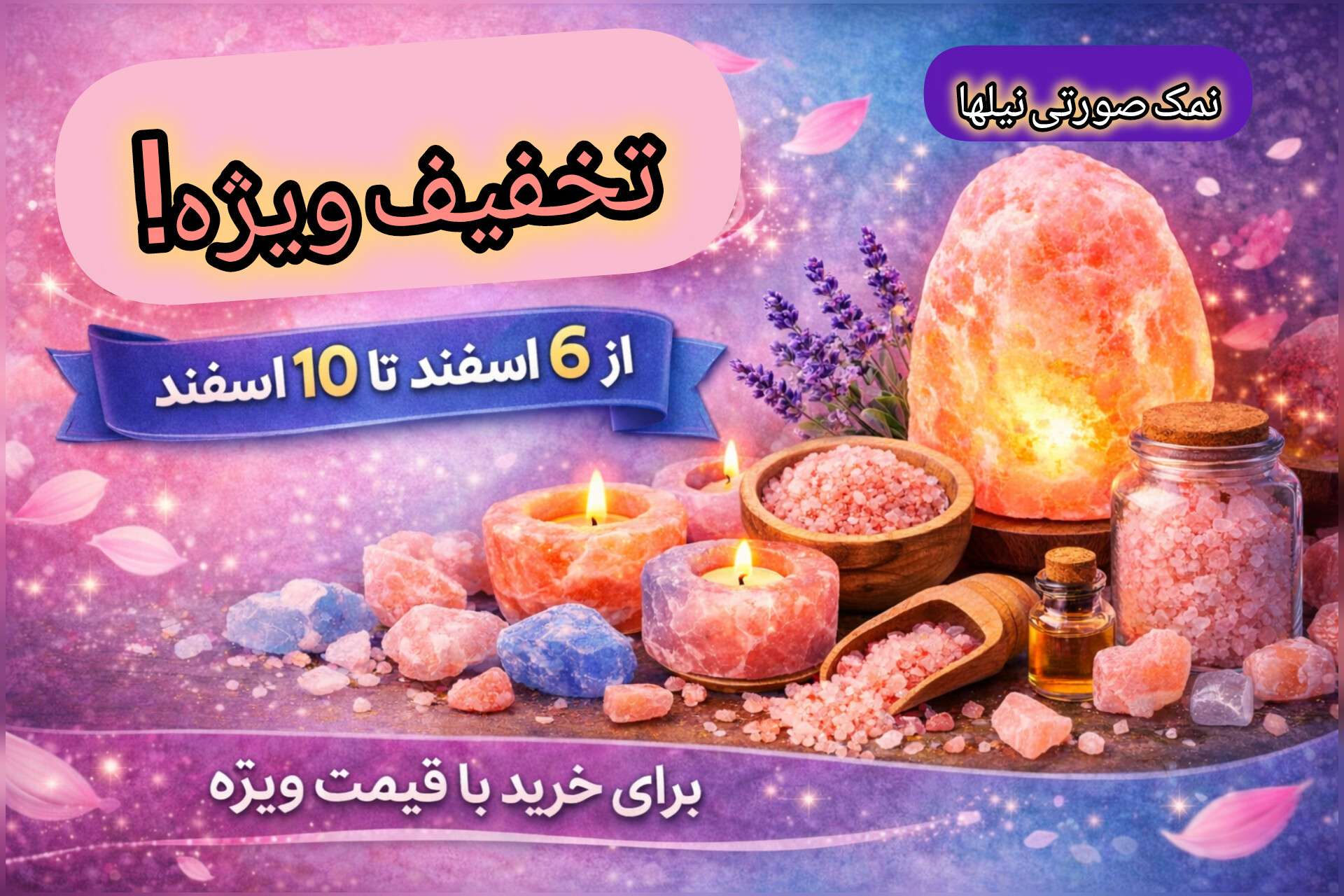 InShot 20260225 113803842